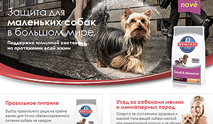 Hill’s Pet – Small and Miniature Microsite